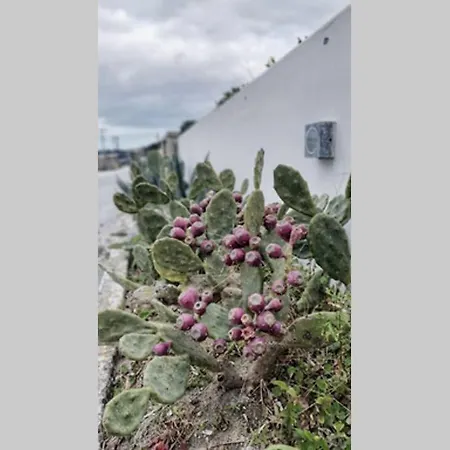 The Cacti I, Luxury Beachfront Villa, Villa